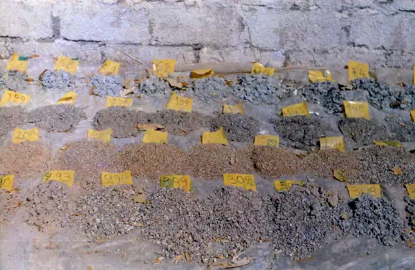 Rock samples from a sampling borehole, laid out in rows by drilling depth with numbered tags